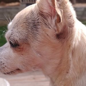 Meet your Posher, Jenny